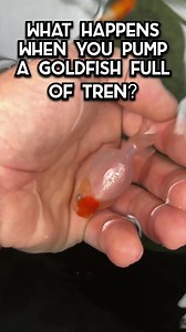 56K views · 1.3K reactions | Fun fact: they actually originally used...