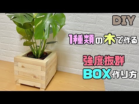 【DIY】【強度抜群】1種類の木だけで作る強度抜群なBOXの作り方！！使い方はさまざま！！ネジを見せない作る方のポイントあり！！しっかりとしたBOXになる！！#diy #100均diy #daiso