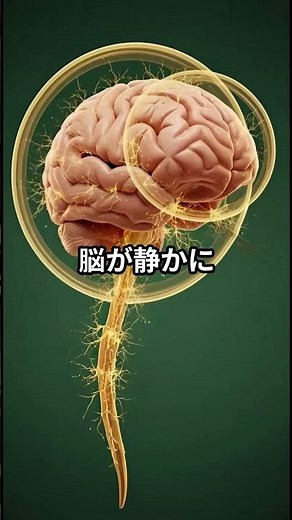 紅茶を一杯飲むと、あなたの体内で起きること #紅茶効果 #健康知識 #脳の活性化