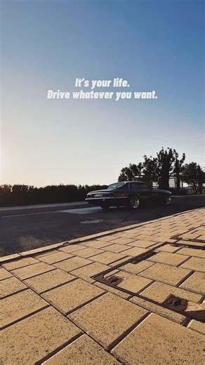 #SHARKNOSE on Instagram: "Drive whatever you want. Nobody needs to like it but you.. ☀️"