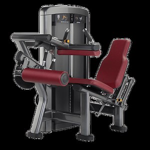 Insignia Series Seated Leg Curl (SS-SLC) - Life Fitness