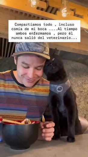 Siempre lo hacía. Comía de mi mano, de mi plato, a veces incluso de mi boca. Era nuestro momento, un gesto de amor puro… o eso pensaba. 😿 Semanas después enfermamos los dos. Yo me recuperé. Él no. Nunca imaginé que ese “detalle de cariño” podría costarle la vida. A veces lo que creemos amor, es un error que puede ser fatal. 📘 Por eso creamos la Guía Lenguaje Felino, para que aprendas a reconocer los límites, a entender los comportamientos que pueden dañar su salud, y a evitar los errores más c