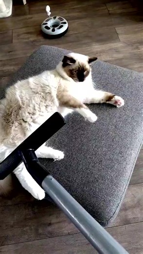 Marloes Maatje on Reels | Facebook