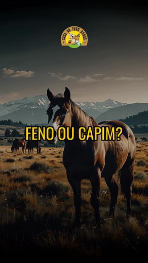 Capim ou Feno: Qual é Melhor para o Seu Cavalo?