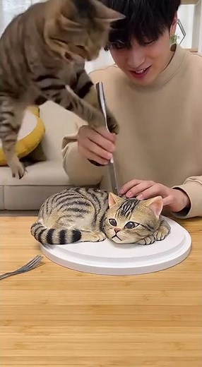 Scared Cat #animation #funny #cat