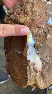 5.2K views · 100 reactions | Wayne and Lincoln taking a well-earned break from cleaning up after Cyclone Alfred—because when there's boulder rough with color, you’ve got to stop and take a look! ️ #Opal #BoulderOpal #OpalAuctions | Opal Auctions | Facebook