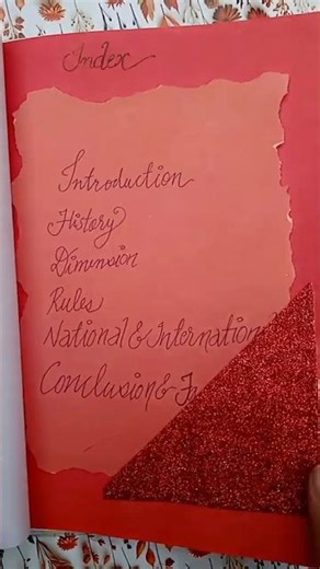 class 12 P.E file # topic cricket