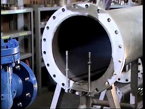 Safety Valve back pressure compensation balanced bellows