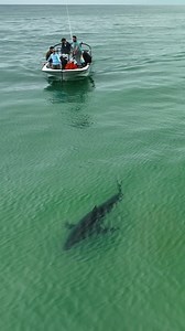 47K views · 42K reactions | Recently, I joined the scientists of...