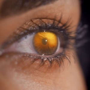 As businesses and policymakers look to create a more sustainable future, Dubai is already driving the green economy agenda. A city where technological prowess and scientific progress join forces and the search for zero-carbon footprint paves the way for alternative energy sources. Where urban society is committed to creating a lifeline for tomorrow. Together, we will architect a global blueprint for scalable and sustainable communities in this city of renewed energies. It’s time to open your eye