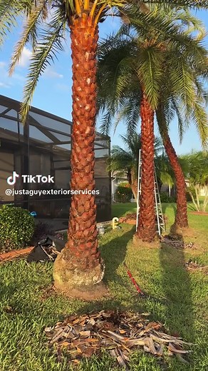 Transform Your Yard with Diamond Cutting and Varnish