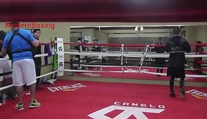 11K views · 343 reactions | "I train hard to fight hard, and I am focused this training camp to be prepared to win on May 7th and maintain my status as the champion," Canelo Alvarez | Boxing Daily | Facebook
