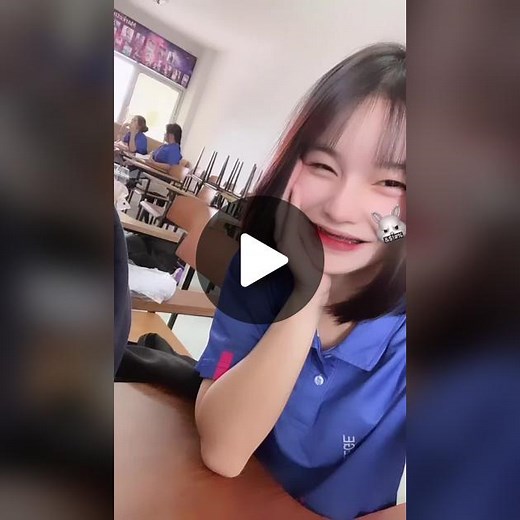 Classroom Insights: Understanding Student Dynamics