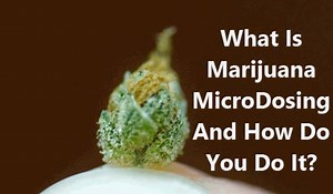 12 reactions | There is an art to microdosing weed, here are our tips, read this https://cannabis.net/blog/medical/the-art-of-marijuana-microdosing | Cannabis.Net | Facebook