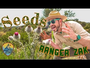 Facts About Seeds | Educational Videos For Kids