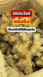 20ประโยชน์ของขิงที่ควรกินให้ได้ทุกวัน #ขิง #ขิงสด #น้ำขิง | โค้ชโจสุขภาพดีเราปั้นได้