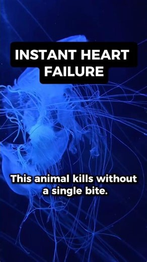 The Killer with Zero Teeth.#shorts