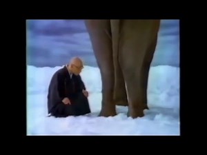 桐灰化学 きりばいはる くつ下用 桂小枝 CM 1996