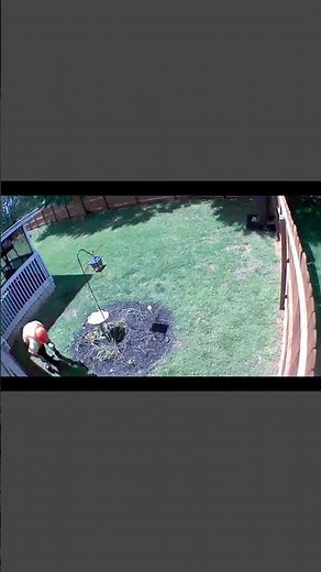 Install a 24'x52” above ground pool yourself. Step 1! #abovegroundpool #2025 #summer
