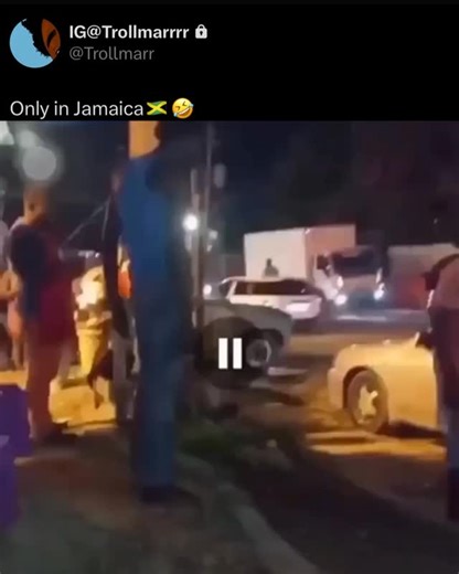 Trollmarr on Instagram: "@trollwildin 😂"