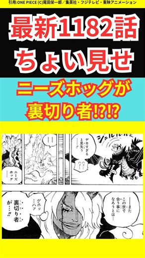 最新1182話ちょい見せ ニーズホッグが裏切り者⁉︎ #ONE PIECE#ワンピース#anime#アニメ#暇つぶし#jamp#japan#one#manga#マンガ#ルフィ#最新話