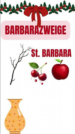 Barbarazweige in Austrian German #austria