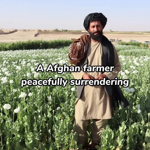 SASR: Australian Special Forces Insights