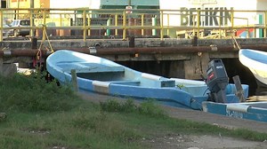 52K views · 752 reactions | Tonight, 7News has learned additional...