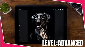 【Procreate】掌握黑色毛发之美 | Procreate 黑狗肖像绘画全流程教程 from Art with Flo