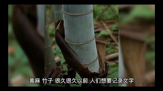 看看四大发明之一的造纸术，最原始的造纸流程#科普分享 ,原始造纸工艺流程- 抖音