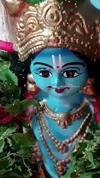 Janmashtami Celebration in Kerala | ജന്മാഷ്ടമി ആഘോഷം #janmashtami #lordkrishna #krishna