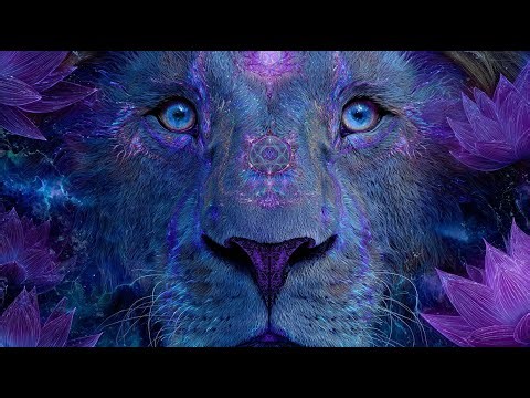 🌑 Sacred Roots Psytrance Journey 2025 🌿 | Deep Progressive Forest • Shamanic Night Energy 🍄