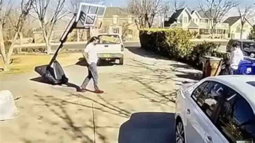 Daily Darwin: Tuesday, March 3, 2026