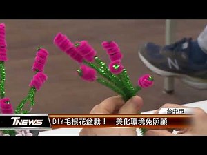 DIY毛根花盆栽！ 美化環境免照顧 │T-NEWS聯播網