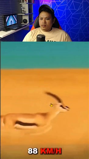 13K views · 48 reactions | That fast | Ajusmar Reaction | Facebook