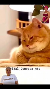 Can mummy ire get over cat??? | AdetounBeautycare