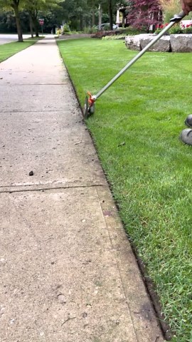 Essential Lawn Care Routine to Keep Your Grass Healthy