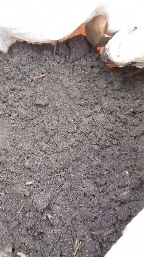 Как просто приготовить компост из листьев к весеннему сезону #shorts