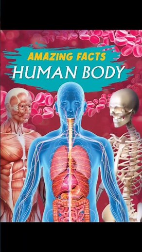 TOP FIVE AMAZING FACTS ABOUT HUMAN#viral#amazingfacts