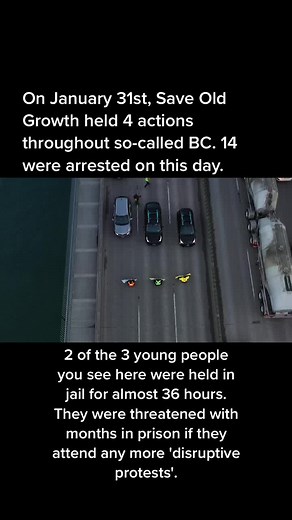##SaveOldGrowth #CivilDisobedience