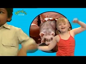 CBeebies Boogie Beebies Barnyard Boogie