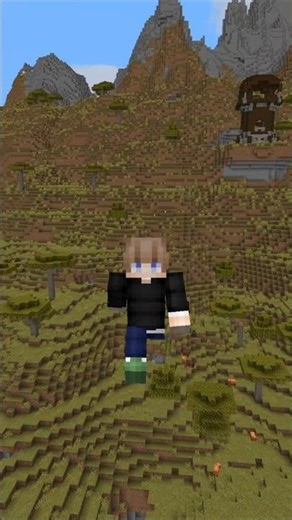 This Minecraft Java 1.21.11 Seed Could Be A BUILDERS DREAM! #minecraft #minecraftseed