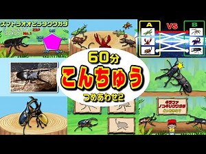 【こんちゅうアニメ】昆虫いろいろ60分！二弾！詰め合わせ1時間〈カブトムシvsクワガタ、ノコギリクワガタ、カマキリなど〉【insect beetle stag animation】昆虫・虫・名前・図鑑