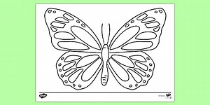 Large Butterfly Template Colouring Page