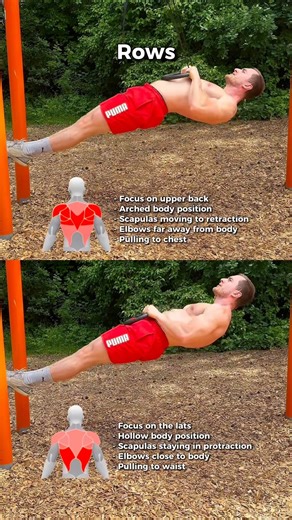 Different Bodyweight Rows