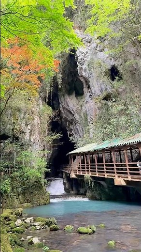 山陰旅のスタートは、ずっと来てみたかった秋芳洞へ。日本最大級の一度は行ってほしい圧倒される鍾乳洞