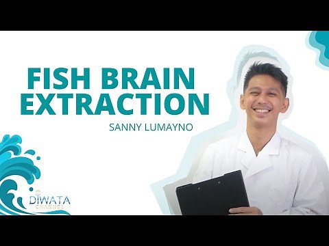 FISH BRAIN EXTRACTION