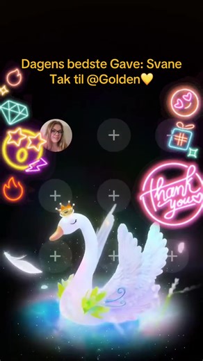 Én af de bedste Gaver i min LIVE. Tak Golden💛, fordi du støtter mit indhold.@Golden💛 #tiktoklive #livehighlights #livegift #swan #svane @⚜️ ⭐️𝐺𝑜𝑙𝑑𝑒𝑛 ⭐️⚜️