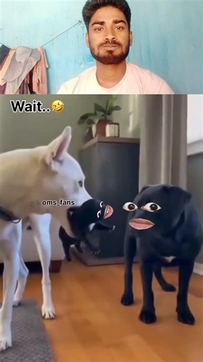 Wait for end 🤣kutte ka bachha🐶 ka pahchan🤣#facebuilder #comedy #funny #thetharpuns