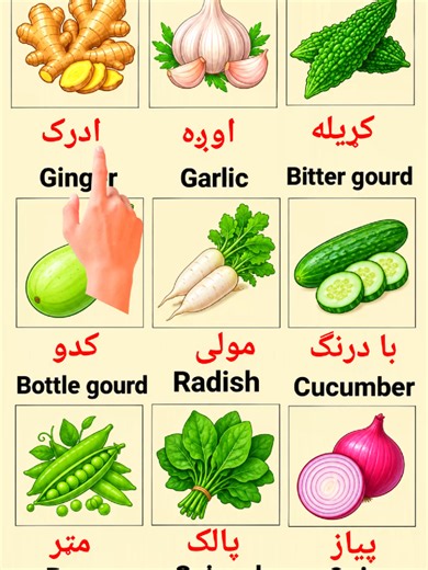 English to Pashto vegetables vocabulary